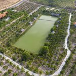 Top 3 khu vực đất Bình Thuận giá rẻ & lưu ý khi giao dịch