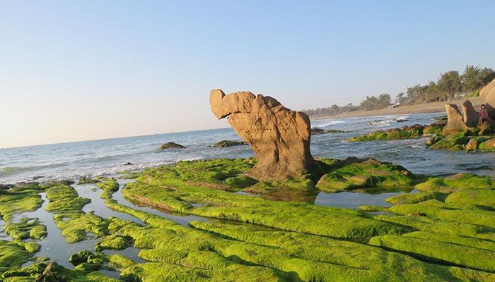 Đất Tuy Phong, Bình Thuận 2