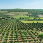 Bảng giá đất Bình Thuận mới nhất [2021]