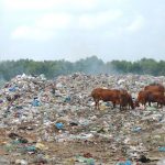 Người dân xã Tiến Thành, Bình Thuận “ngộp thở” vì rác