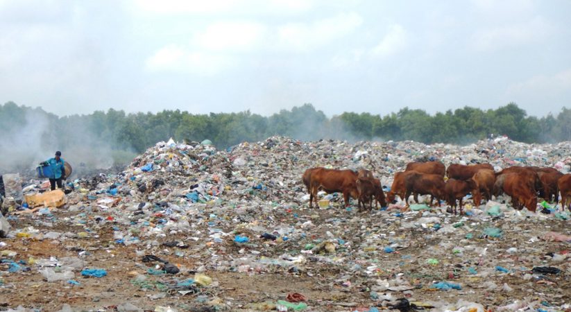 Người dân xã Tiến Thành, Bình Thuận “ngộp thở” vì rác