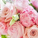 Ngày 20/11 có gì đặc biệt? Những việc làm ý nghĩa cho ngày Nhà giáo Việt Nam