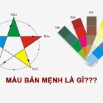Màu bản mệnh là gì? Cách xem màu phong thủy hợp tuổi