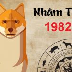 Sinh năm 1982 hợp hướng nào và kỵ hướng nào?