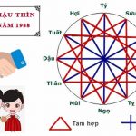 Tuổi Mậu Thìn hợp hướng nào? Giới thiệu về người tuổi Mậu Thìn