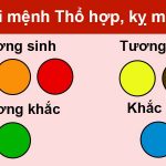 Tuổi hổ hợp màu gì? Cách chọn màu sơn tường cho người tuổi hổ