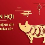 Tuổi Hợi 1971 mệnh gì? Hợp màu sắc gì và mệnh gì?